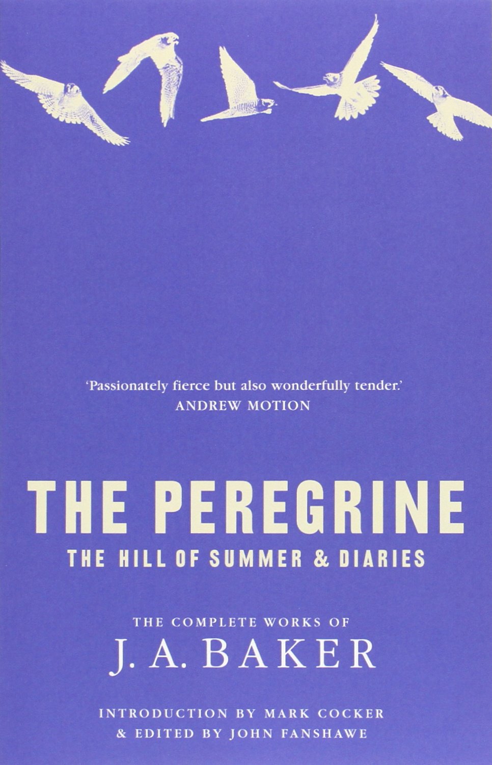 The Peregrine
